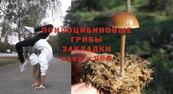 скорость Бородино